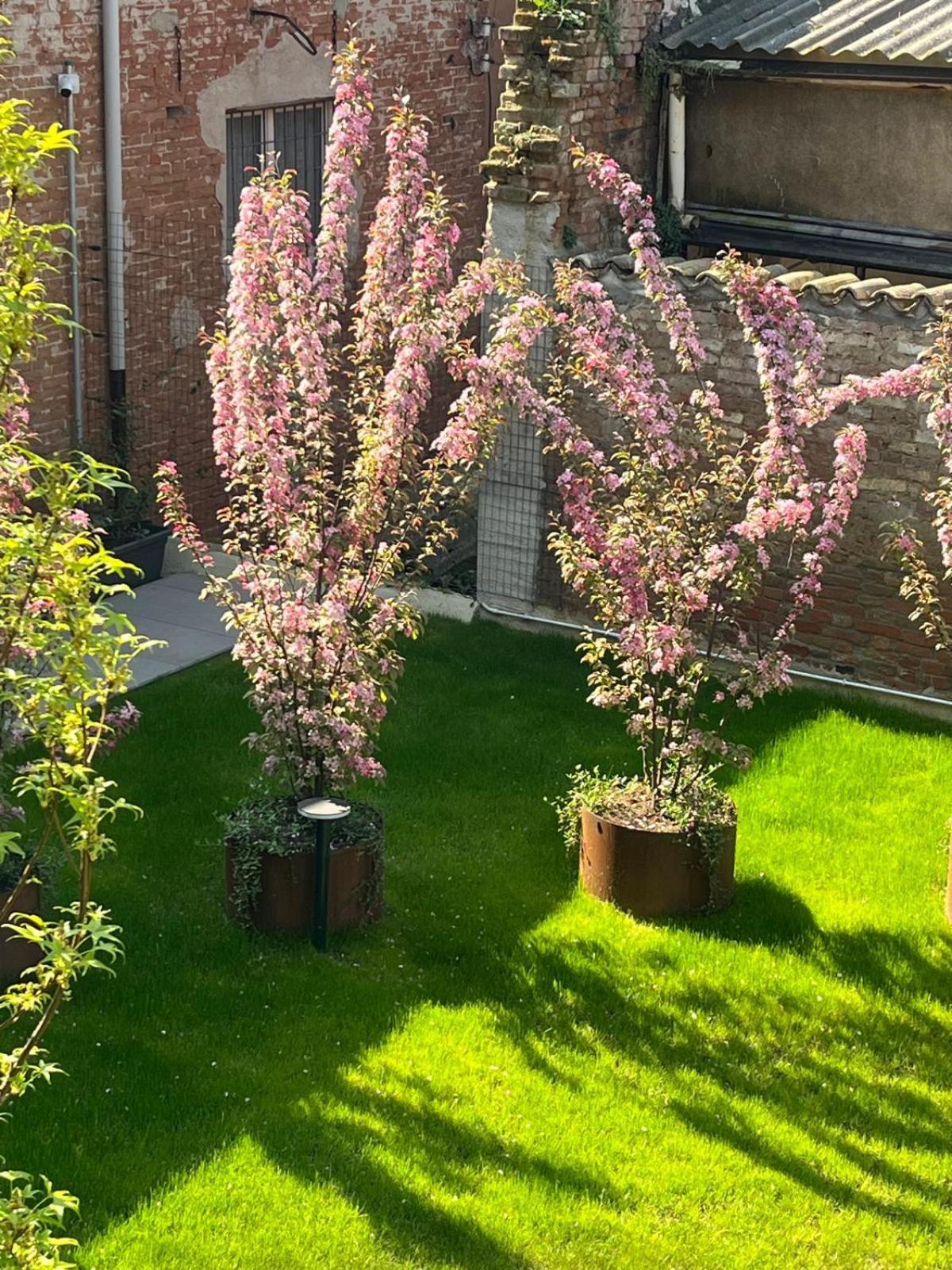 Cremona Inn Aparthotel Zewnętrze zdjęcie